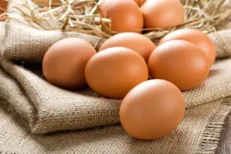 10 alimentos ricos em proteína para substituir o ovo