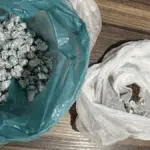 PCGO e PMGO prendem dupla em flagrante por tráfico de drogas em Alto Horizonte – Policia Civil do Estado de Goiás