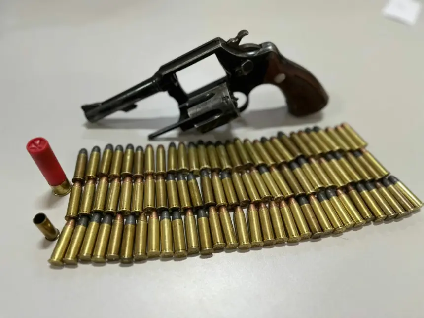 Polícia Civil prende homem na posse de arma de fogo em meio a investigação sobre morte de cão, em Formosa – Policia Civil do Estado de Goiás