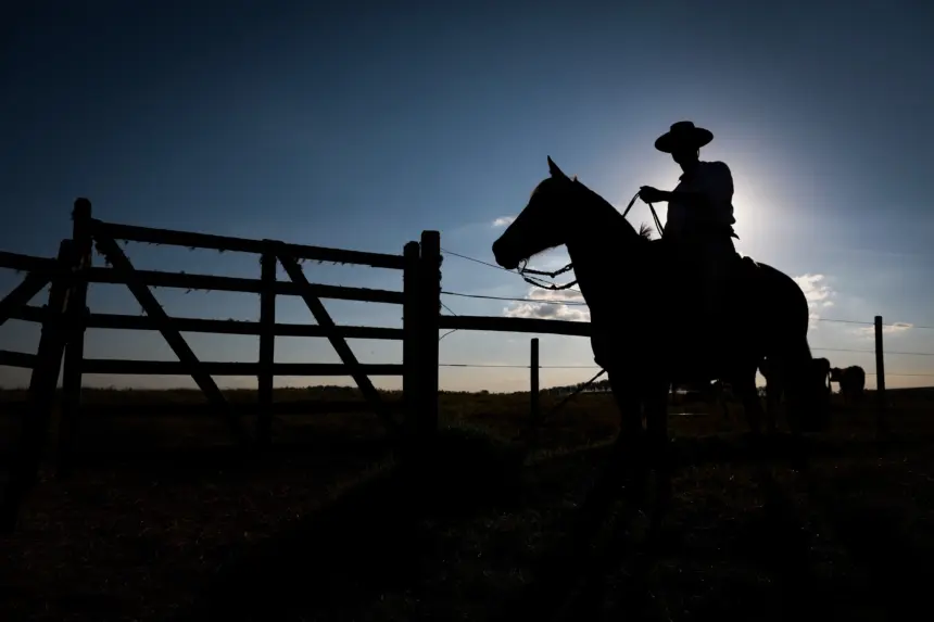 FCO Rural supera marca de R$ 1 bilhão em financiamentos aprovados em 2025 – Portal Goiás FCO Rural supera marca de R$ 1 bilhão em financiamentos aprovados em 2025 – Portal Goiás