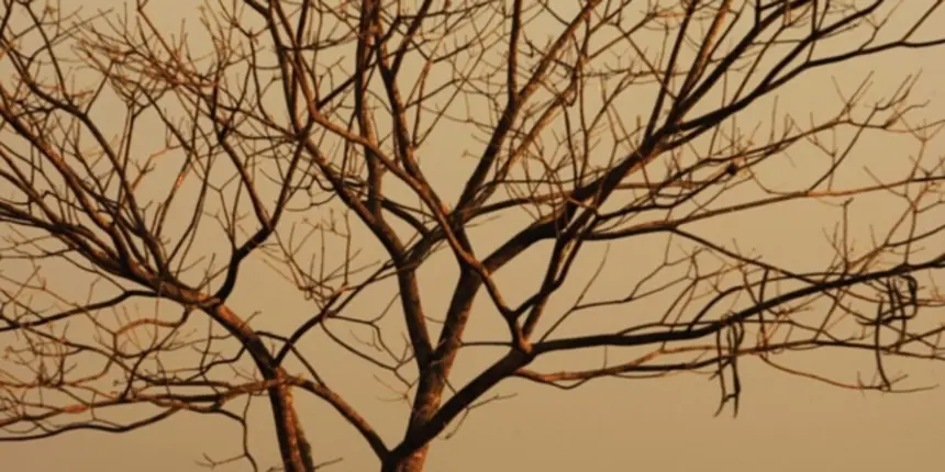 Goiás em alerta extremo para incêndios – Portal Goiás Goiás em alerta extremo para incêndios – Portal Goiás