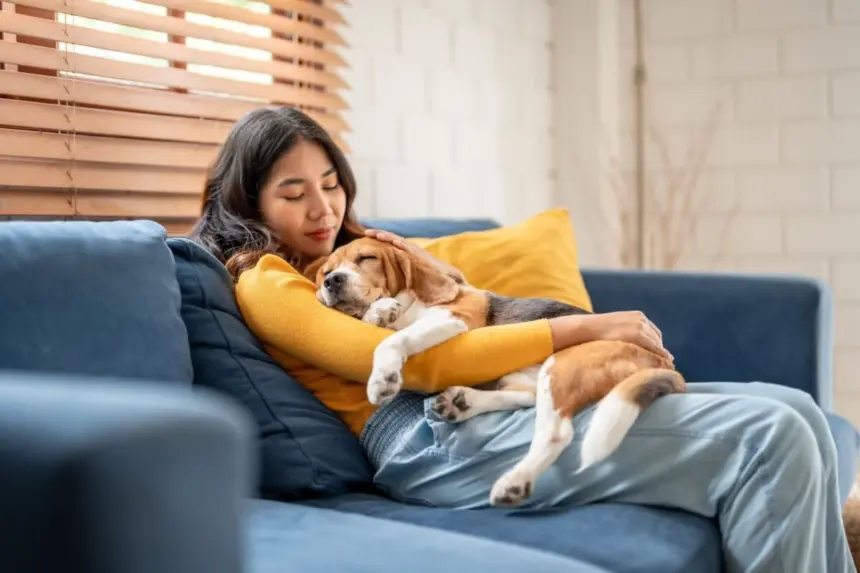 10 nomes para cachorros tranquilos 10 nomes para cachorros tranquilos