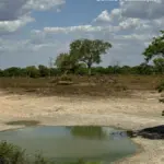 Ação integrada entre PCGO e Semad busca preservar ecossistemas do Lago Luiz Alves e do Rio Araguaia – Policia Civil do Estado de Goiás