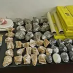 PCGO e PMGO prendem suspeitos de homicídio e apreendem grande quantidade de entorpecentes – Policia Civil do Estado de Goiás
