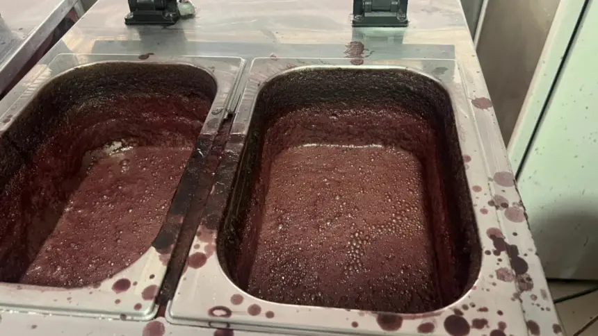 PCGO e Vigilância Sanitária interditam açaiteria em Goiânia por risco à saúde pública – Policia Civil do Estado de Goiás PCGO e Vigilância Sanitária interditam açaiteria em Goiânia por risco à saúde pública – Policia Civil do Estado de Goiás