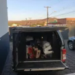 Polícia Civil prende funcionário de comércio por receptação de insumos para venda de sushi – Policia Civil do Estado de Goiás