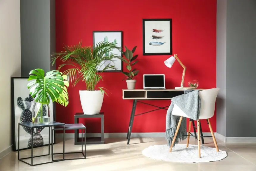 5 técnicas de Feng Shui para melhorar a energia da casa na primavera 5 técnicas de Feng Shui para melhorar a energia da casa na primavera