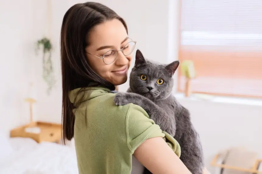 12 nomes perfeitos para gatos sociáveis 12 nomes perfeitos para gatos sociáveis