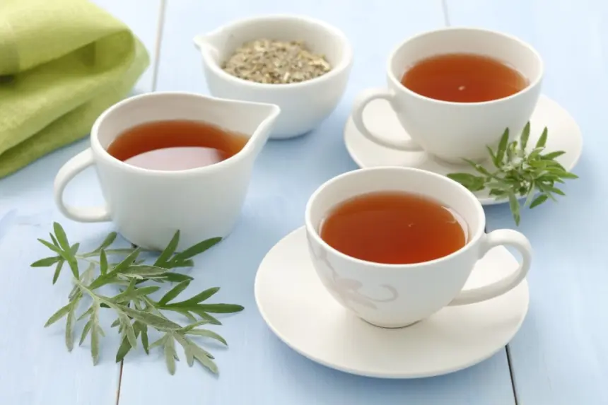 6 receitas de chá de losna e seus benefícios para a saúde 6 receitas de chá de losna e seus benefícios para a saúde