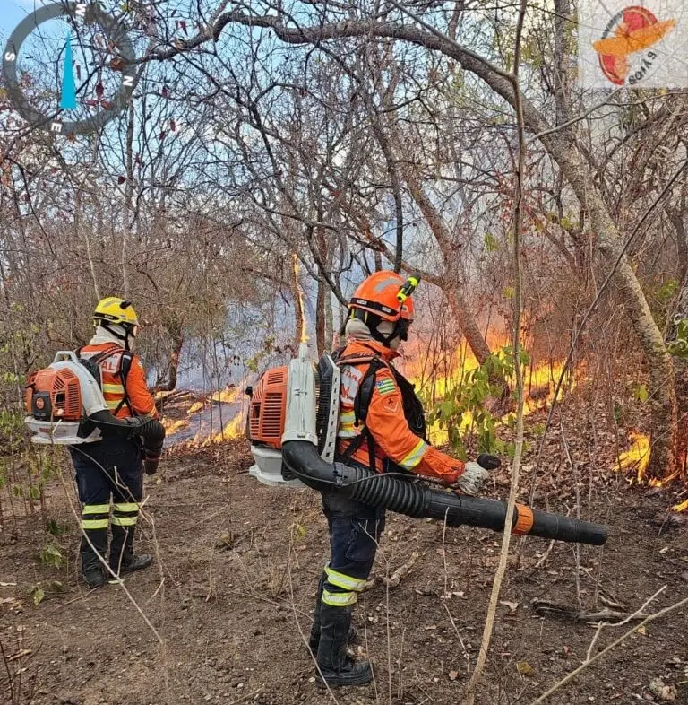 Identificados autores de incêndios florestais – Portal Goiás Identificados autores de incêndios florestais – Portal Goiás