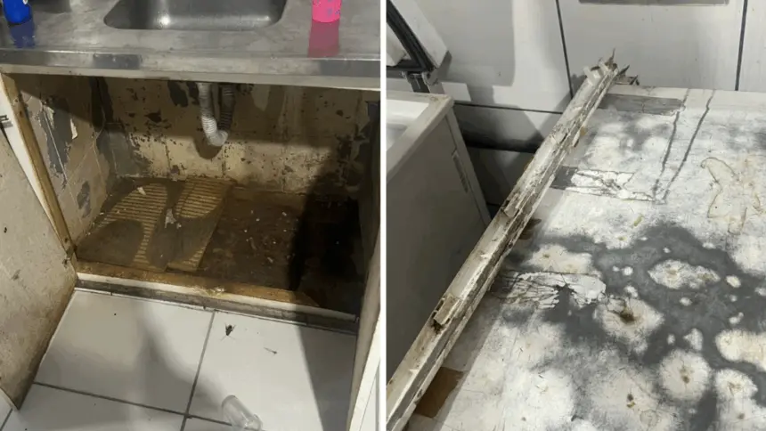 PCGO e Vigilância Sanitária interditam buffet clandestino em Goiânia – Policia Civil do Estado de Goiás PCGO e Vigilância Sanitária interditam buffet clandestino em Goiânia – Policia Civil do Estado de Goiás