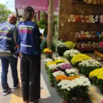Fique Atento! Variação no preço das flores para Dia de Finados pode chegar a 590% – Portal Goiás