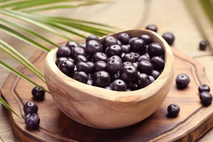 15 frutas e plantas do Norte e Nordeste que fortalecem a saúde 15 frutas e plantas do Norte e Nordeste que fortalecem a saúde