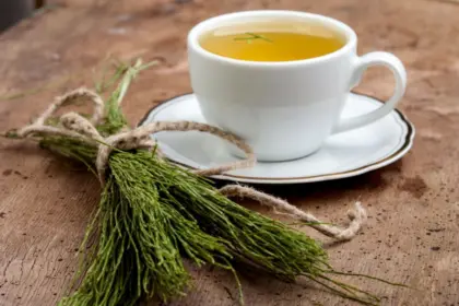 8 benefícios do chá de cavalinha e como usá-lo com segurança
