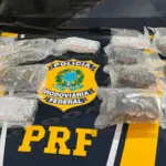 Forças policiais apreendem 20kg de haxixe na BR-153