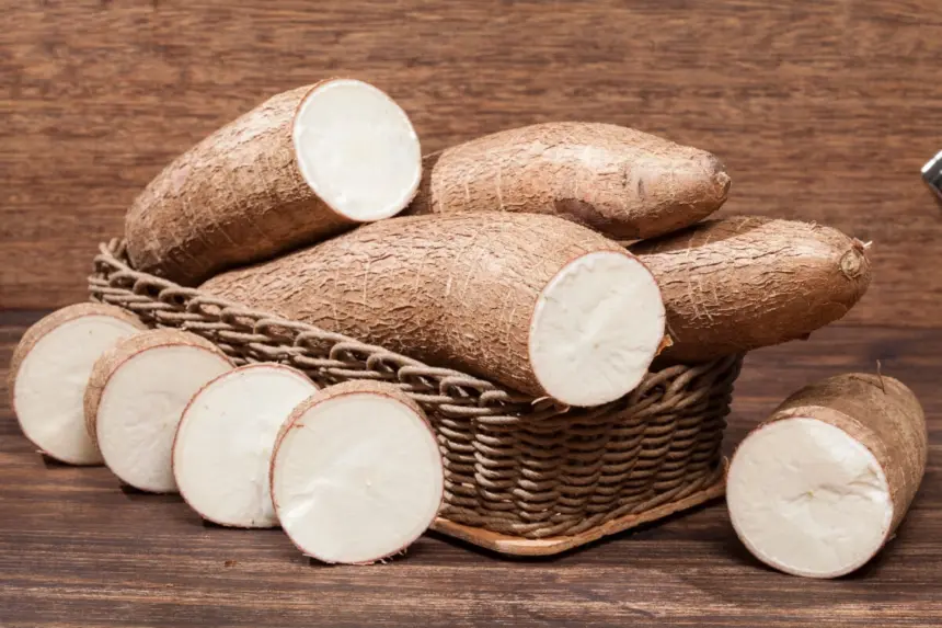 10 motivos para adicionar a mandioca à dieta 10 motivos para adicionar a mandioca à dieta