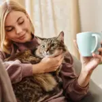 10 nomes ideais para gatos carinhosos 