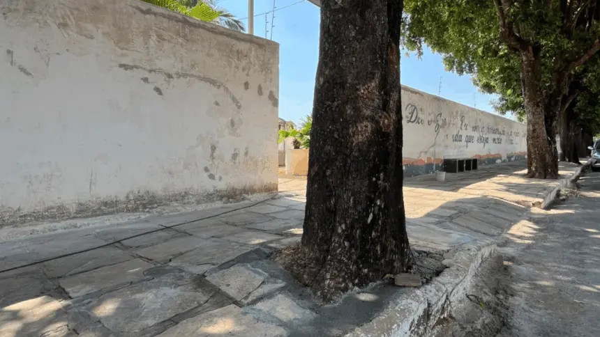 Prefeitura de Goianésia prepara cemitério municipal para o Dia de Finados Prefeitura de Goianésia prepara cemitério municipal para o Dia de Finados