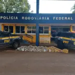 PRF apreende mais de 174 kg de drogas após perseguição e acidente fatal em Goiás