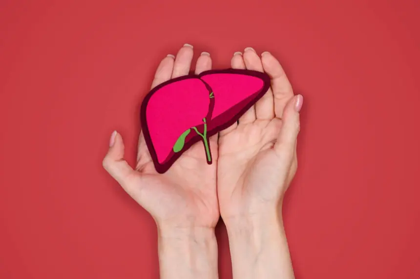 Veja como a alimentação influencia a gordura no fígado Veja como a alimentação influencia a gordura no fígado