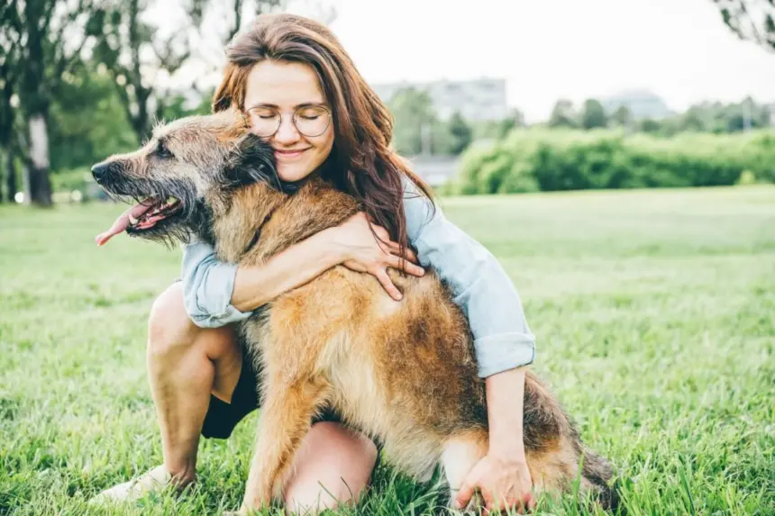 Veja como manter a saúde e o bem-estar dos animais idosos Veja como manter a saúde e o bem-estar dos animais idosos