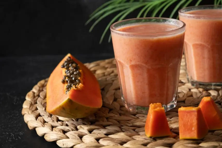 5 receitas de vitaminas com mamão para deixar sua dieta mais saudável 5 receitas de vitaminas com mamão para deixar sua dieta mais saudável