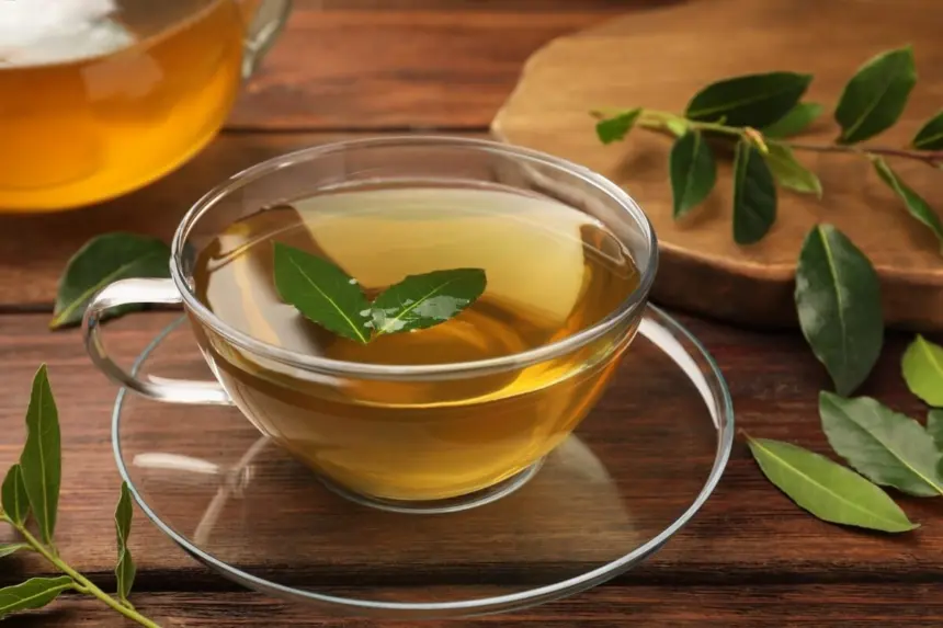 Chá de louro: 8 benefícios para a saúde e dicas de preparo Chá de louro: 8 benefícios para a saúde e dicas de preparo