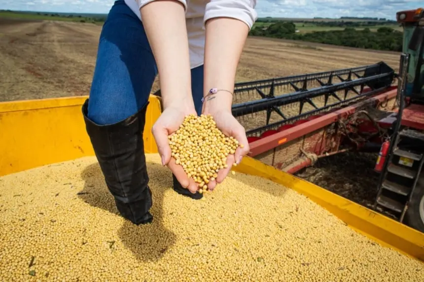 Impulsionado pelo agronegócio e indústria, PIB de Goiás cresce 4,8% em 2023 e supera média nacional – Portal Goiás Impulsionado pelo agronegócio e indústria, PIB de Goiás cresce 4,8% em 2023 e supera média nacional – Portal Goiás