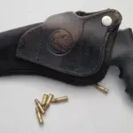 PCGO prende idoso suspeito de matar vizinho após desentendimento em zona rural de Goiás – Policia Civil do Estado de Goiás