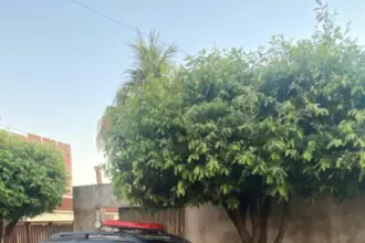 Operação Protetora leva à prisão investigado por feminicídio; corpo foi carbonizado na residência, em Anápolis