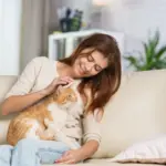 6 cuidados essenciais com gatos idosos