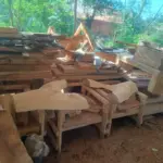 Polícia Civil apreende madeira retirada ilegalmente e utilizada em serraria de Niquelândia – Policia Civil do Estado de Goiás
