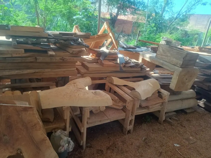 Polícia Civil apreende madeira retirada ilegalmente e utilizada em serraria de Niquelândia – Policia Civil do Estado de Goiás Polícia Civil apreende madeira retirada ilegalmente e utilizada em serraria de Niquelândia – Policia Civil do Estado de Goiás