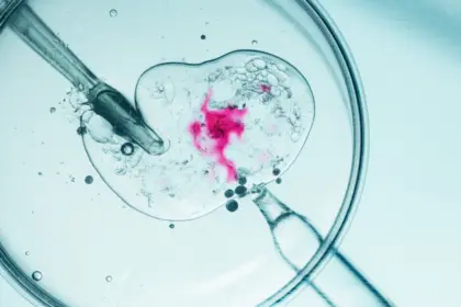 Fertilização in Vitro: 8 informações essenciais para entender o tratamento