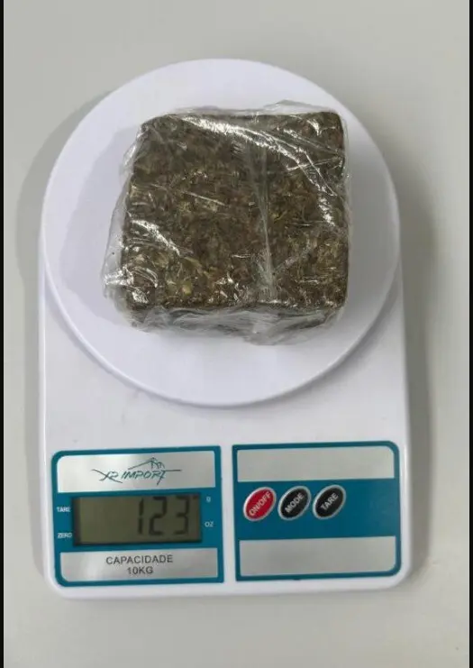 PCGO cumpre mandados e prende investigado por tráfico em Campos Belos – Policia Civil do Estado de Goiás PCGO cumpre mandados e prende investigado por tráfico em Campos Belos – Policia Civil do Estado de Goiás