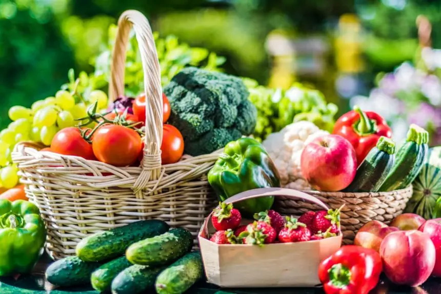 Confira os melhores alimentos para se manter hidratado no verão Confira os melhores alimentos para se manter hidratado no verão