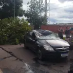 Árvore cai sobre carro em Goianésia e bombeiro de folga presta atendimento