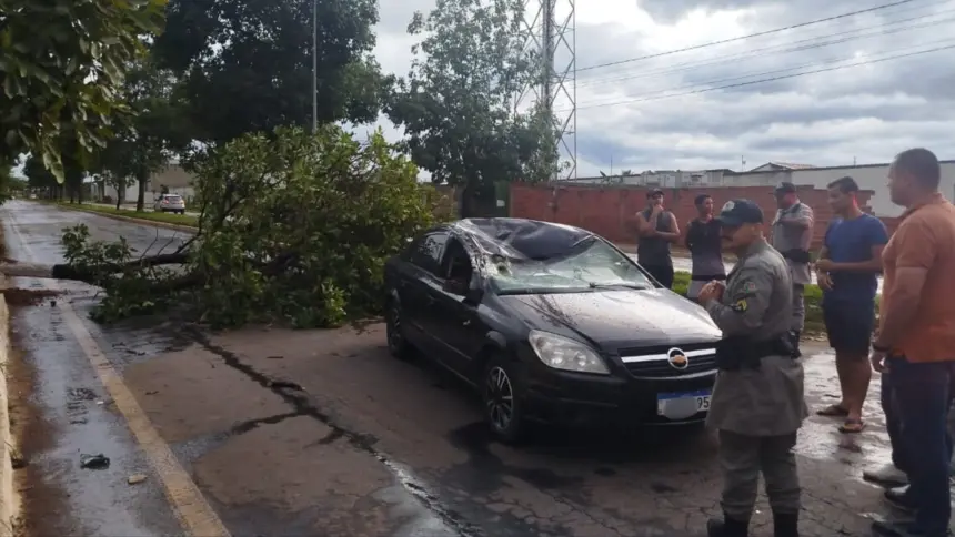 Árvore cai sobre carro em Goianésia e bombeiro de folga presta atendimento Árvore cai sobre carro em Goianésia e bombeiro de folga presta atendimento