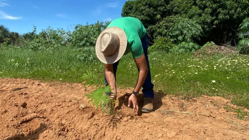 Virada Ambiental planta 500 mudas de árvores do Cerrado em Goianésia