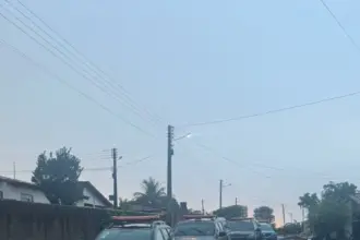 Operação “Shutdown” prende quatro pessoas por tráfico de drogas em Carmo do Rio Verde e resgata aves de rinha