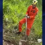 Bombeiros capturam cobra-cipó no Residencal Jardim do Cerrado