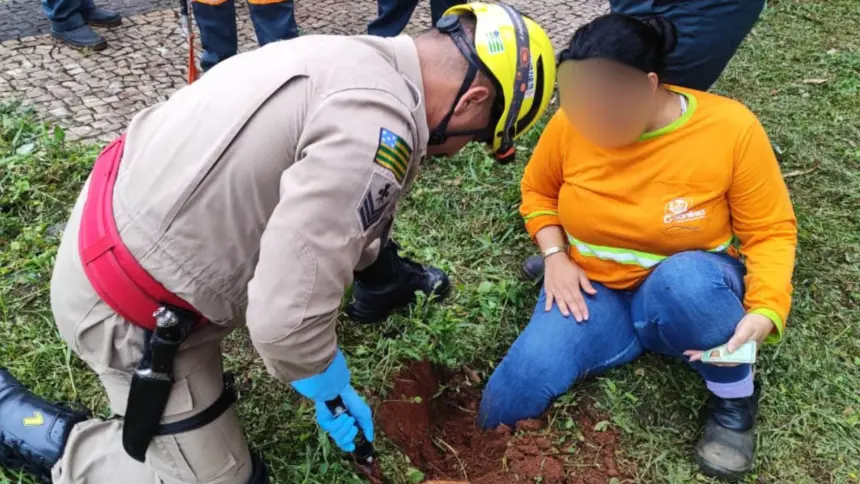 Bombeiros resgatam trabalhadora após acidente de trabalho no oeste de Goianésia Bombeiros resgatam trabalhadora após acidente de trabalho no oeste de Goianésia
