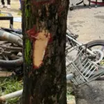 Urgente: Jovem de 18 anos morre após acidente de moto no Setor Sul