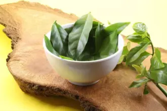 Ora-pro-nóbis: 7 motivos para incluir a planta na alimentação