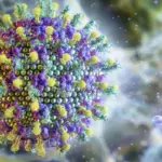 Nipah: saiba mais sobre o vírus que preocupa a Ásia