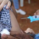 Cobertura vacinal contra HPV atinge 95,81% na capital paulista