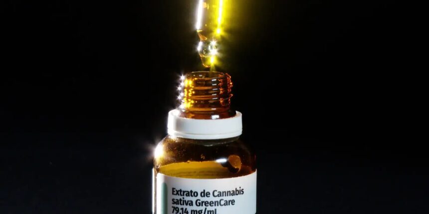 Anvisa amplia o uso da cannabis medicinal no Brasil Anvisa amplia o uso da cannabis medicinal no Brasil