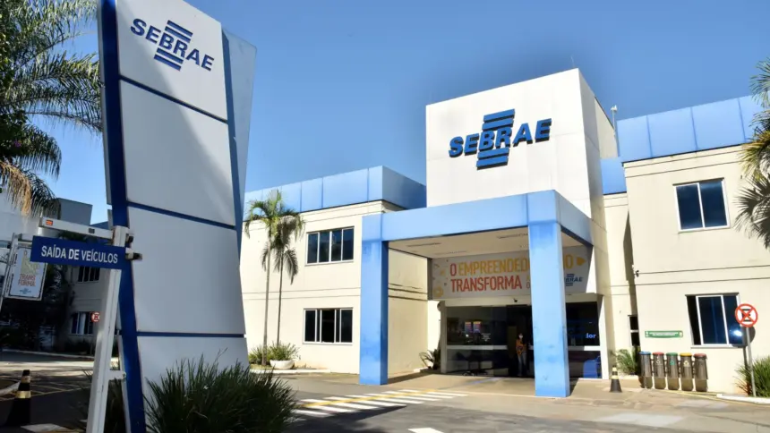 Sebrae e Governo de Goiás lançam Projeto de Economia Criativa com encontro que fortalece setor cultural Sebrae e Governo de Goiás lançam Projeto de Economia Criativa com encontro que fortalece setor cultural