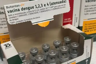 Ministério da Saúde suspende vacina contra a dengue do Butantan