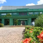 Governo envia à Alego projeto de revisão salarial para servidores